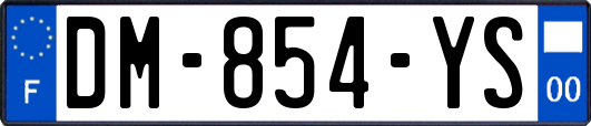 DM-854-YS