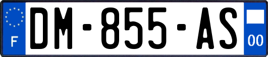 DM-855-AS