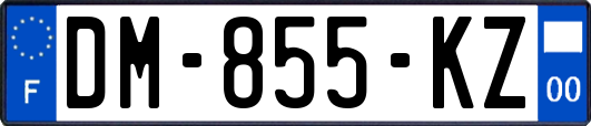 DM-855-KZ