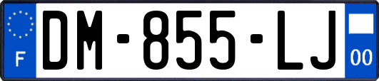 DM-855-LJ