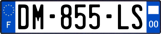 DM-855-LS