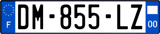 DM-855-LZ