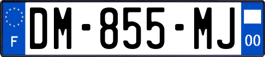 DM-855-MJ