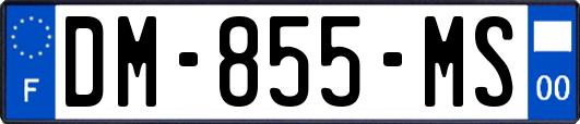 DM-855-MS