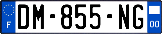 DM-855-NG
