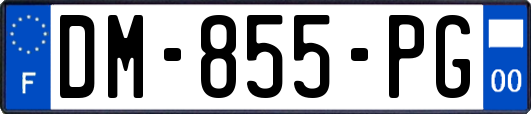DM-855-PG
