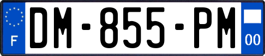DM-855-PM