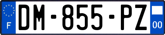 DM-855-PZ