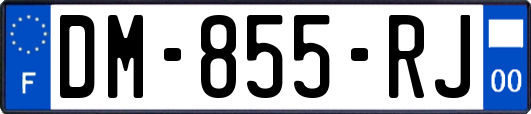 DM-855-RJ