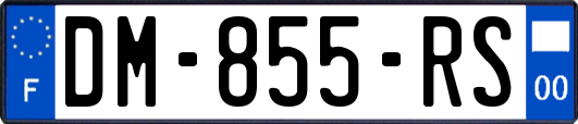 DM-855-RS