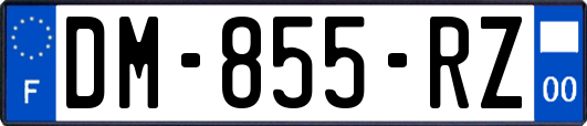DM-855-RZ