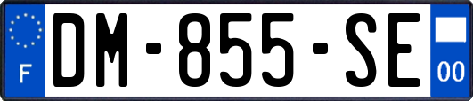 DM-855-SE