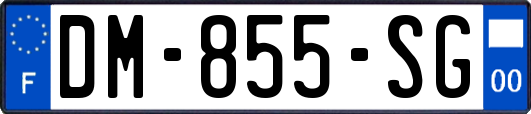 DM-855-SG