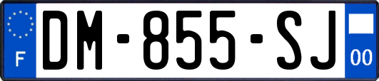 DM-855-SJ