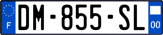 DM-855-SL