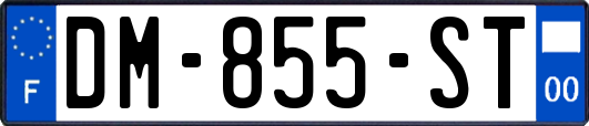 DM-855-ST