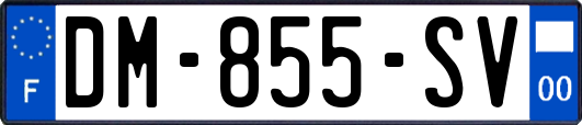 DM-855-SV