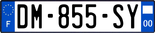 DM-855-SY