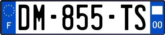 DM-855-TS
