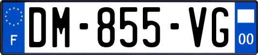 DM-855-VG