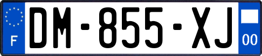 DM-855-XJ