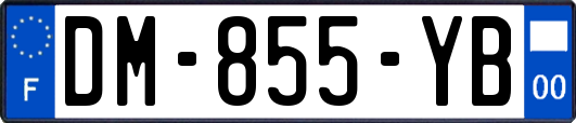 DM-855-YB