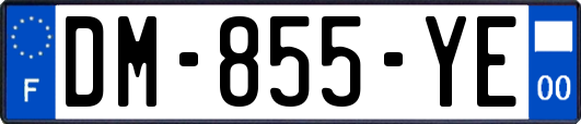 DM-855-YE