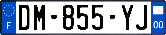 DM-855-YJ