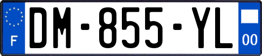 DM-855-YL