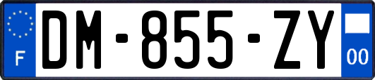 DM-855-ZY