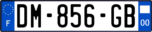 DM-856-GB