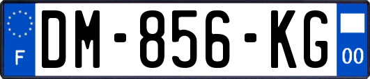 DM-856-KG