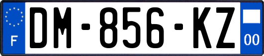 DM-856-KZ