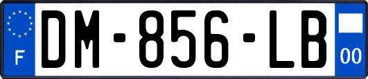 DM-856-LB
