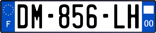 DM-856-LH