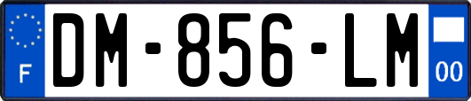 DM-856-LM