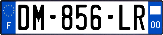 DM-856-LR