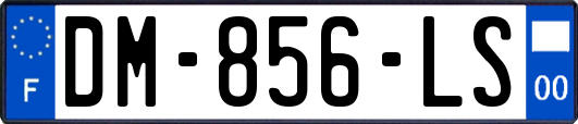 DM-856-LS