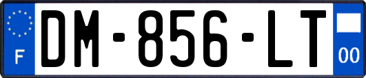 DM-856-LT