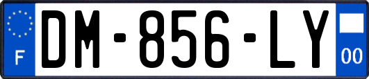 DM-856-LY