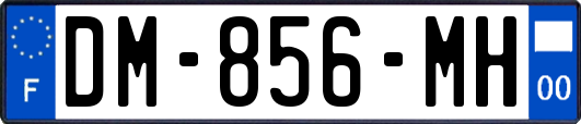 DM-856-MH