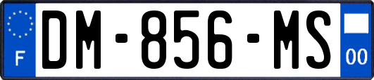 DM-856-MS