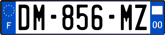 DM-856-MZ