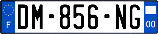 DM-856-NG