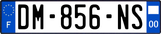 DM-856-NS