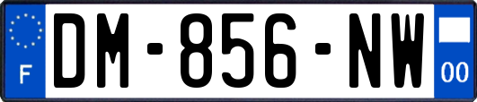 DM-856-NW