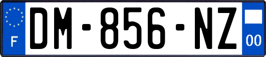 DM-856-NZ