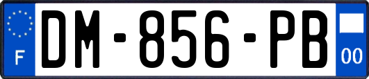 DM-856-PB
