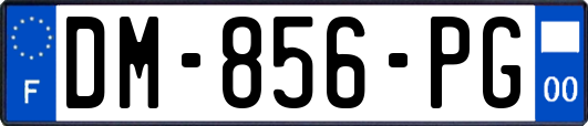 DM-856-PG