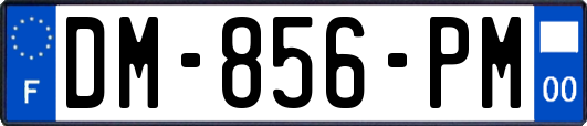 DM-856-PM